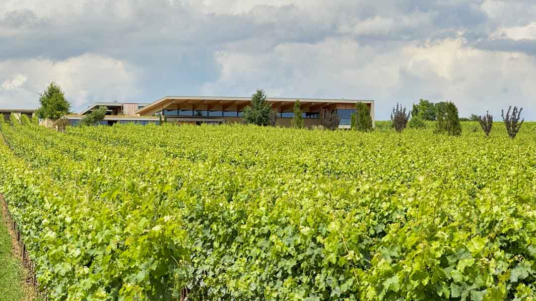 The winery at Weingut Rings, Freinsheim, Pfalz, Germany