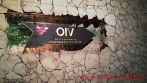 A "street sign" in the gigantic wine cellars of Milestii Mici in Moldova, saying "The OIV Street, International Organisation of Vine and Wine", copyright BKWine Photography