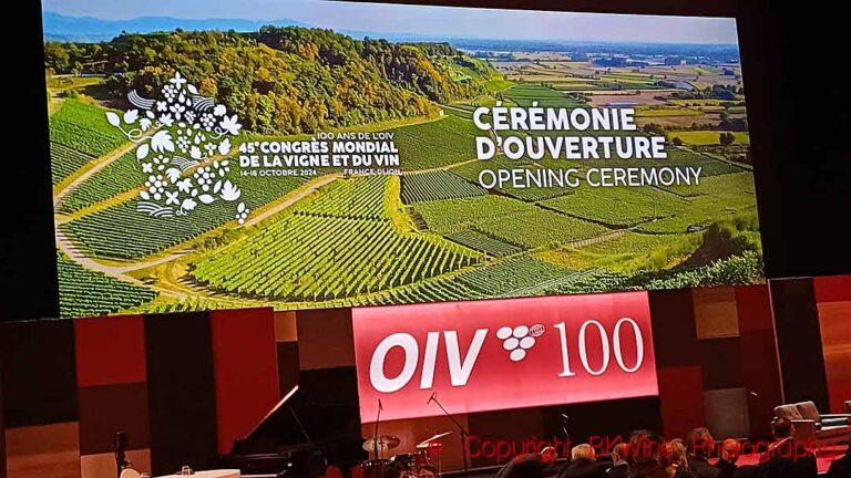 The opening ceremony at the 100th anniversary OIV Congress in Dijon