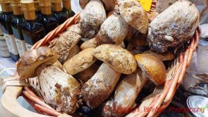 Mushrooms (porcini, ceps) on a market in Alba, Piedmont