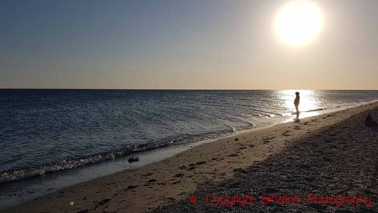 A beach with sand, gravel, seaweed, sun and a person at sunset