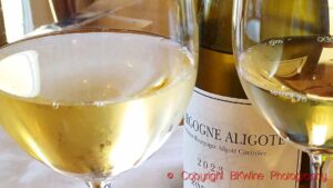 A bottle and two glasses of Bourgogne Aligoté