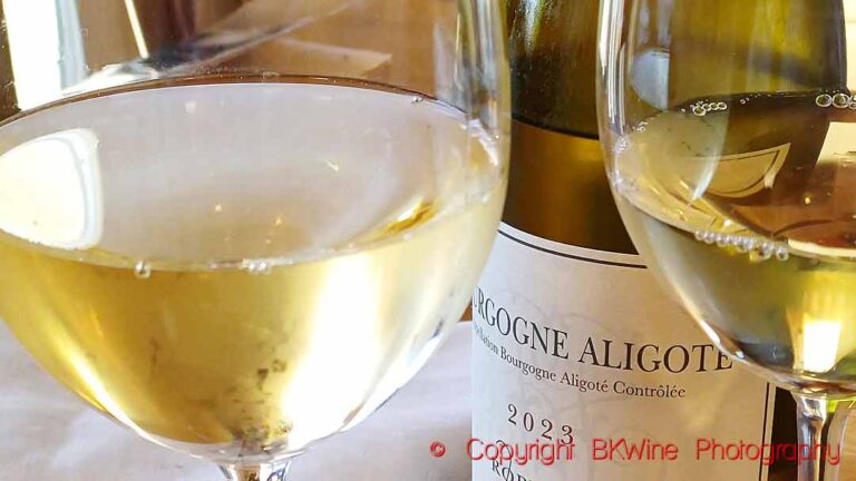 A bottle and two glasses of Bourgogne Aligoté