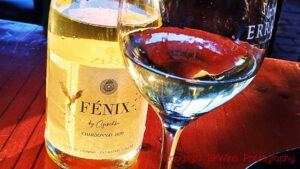 Fénix by Czischke, Chardonnay, Valle de Osorno, Patagonia, Chile