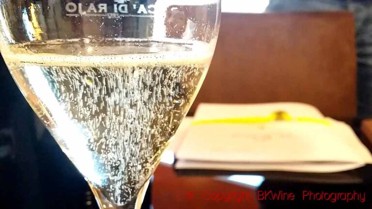 A glass of prosecco, sparkling wine from Veneto, Italy